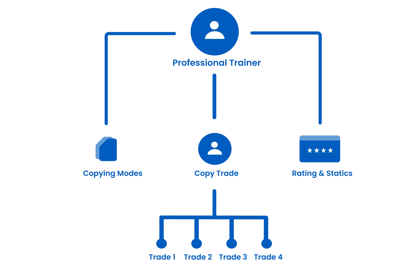 System Workflow