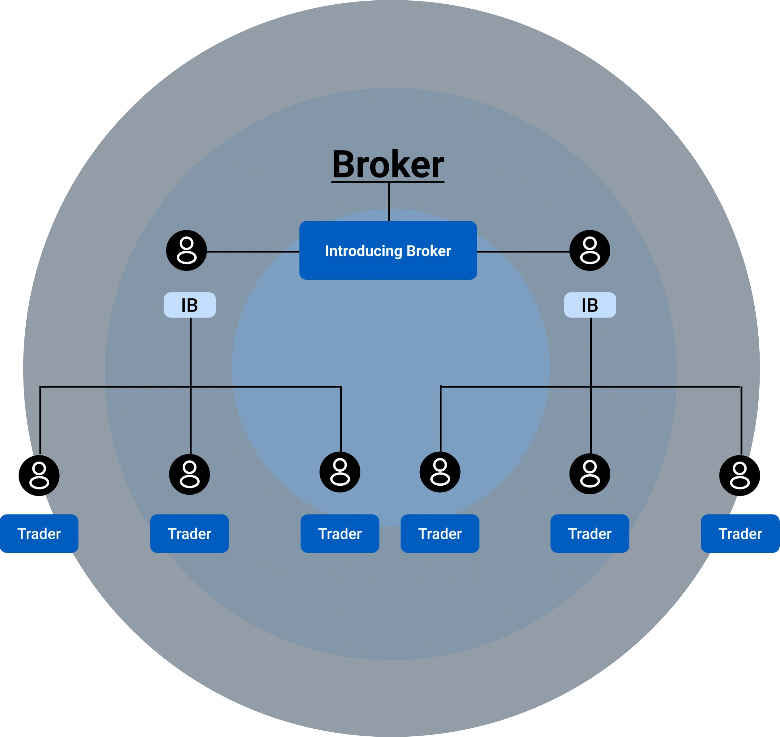 XtremeNext IB Program