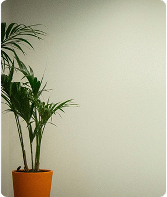 Office 4